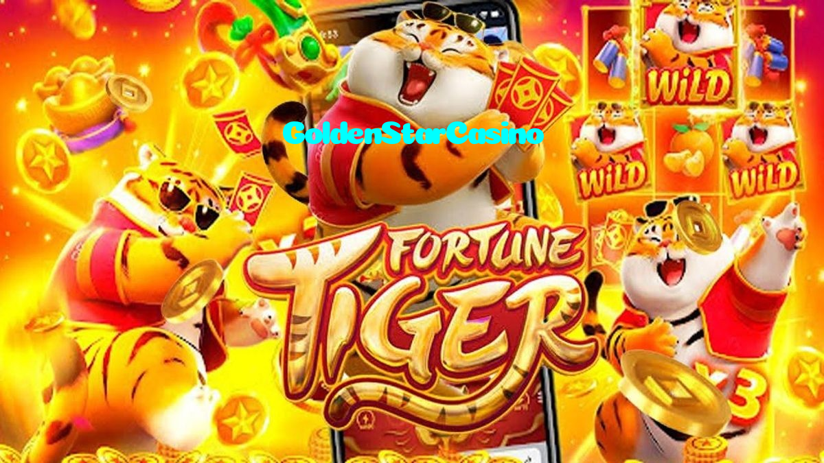available types of GoldenStarCasino bet including pre-match live express and system bets